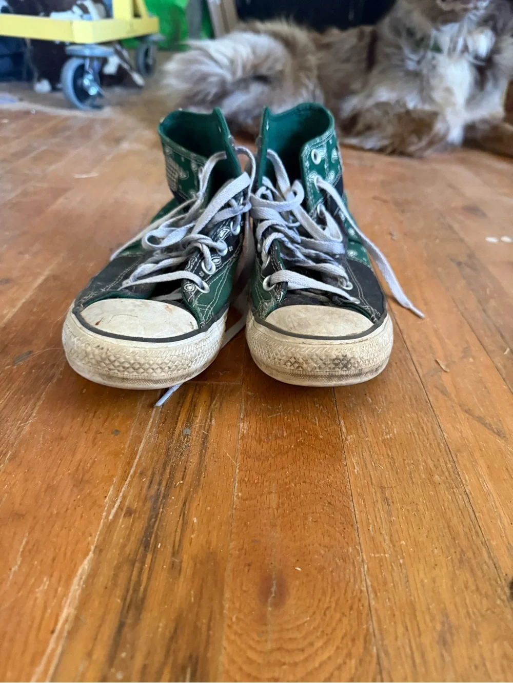 Women’s High-Top Canvas Sneaker in Green and Black - Classic Lace-Up